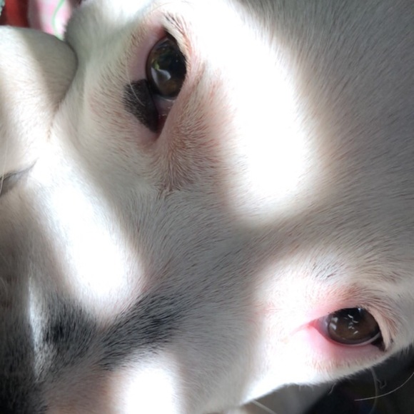 Meet your Posher, John - Picture 1 of 1